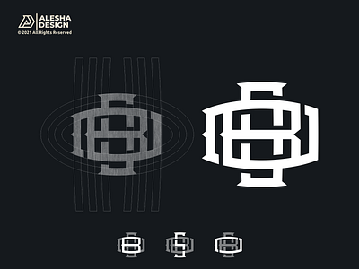 BSD Logo Design! apparel awesome brand mark branding clothing design grids icon initials inspirations letters logo mark monogram symbol tee tshirt type typography