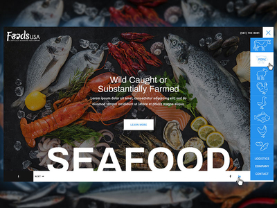 Foods USA Website brand design home homepage icons nav typography ui web website