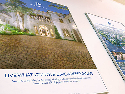 Real Estate Posters home luxury magazine photo posters print real estate realtor type