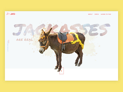They Are Real - Ive Seen Them animal concept design homepage nav ui ux web website