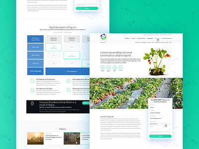 Crop Page agriculture biotech clean crop design farm page science ui web website