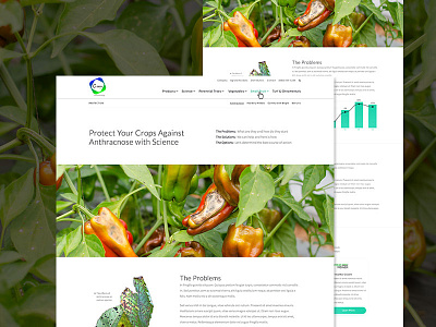 Science agriculture data design farming graphic infographics science ui web website