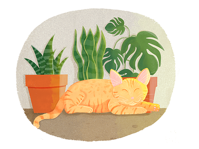 My furry friend Akira akira aloe cat gato illustration monstera pet sansevieria succulent