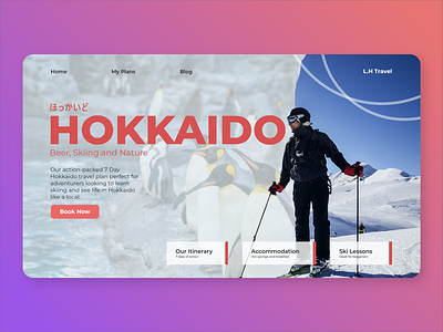 Hokkaido Travel Landing Page UI UX Web Design branding dailyui design flat graphic design minimal ui ux web website