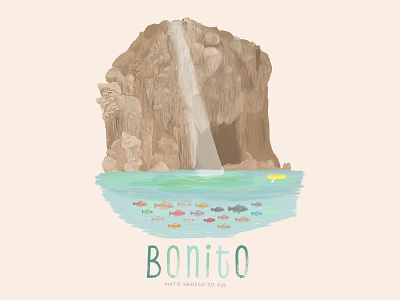 Bonito Illustration