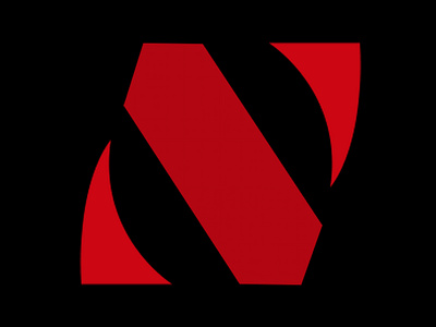 NS Monogram Logo