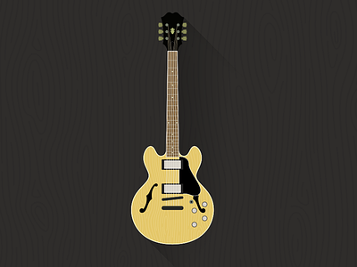 339 Guitar flat guitar illustration