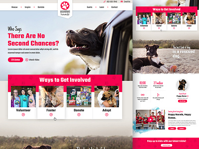 Dog Fostering Website