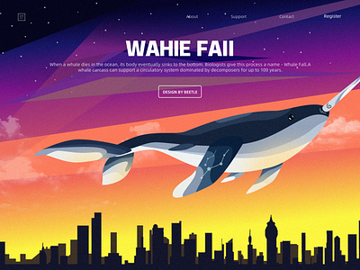 Dusk Whale illustration ps sketch ui vector