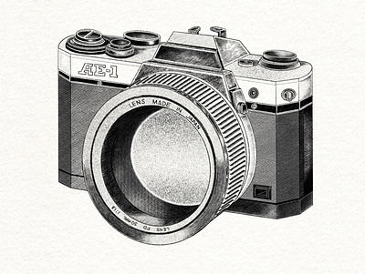 Hand drawn camera camera capture clean deline design detailed drawing hand drawn illustration procreate