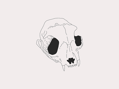 skull