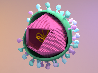 hepatitis c virus 3D model