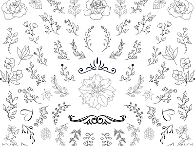 Hand Drawn Floral Elements Vector