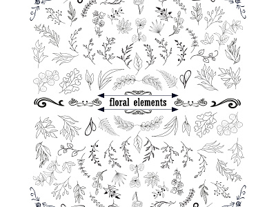 Hand Drawn Floral Elements Vector