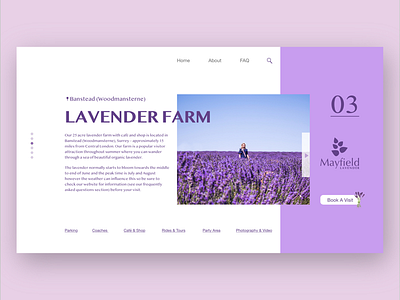 Lavender Farm design fresh graphicdesign ingakot lavender layout london minimalistic photography purple ui uidesign uk uxui web webdesign