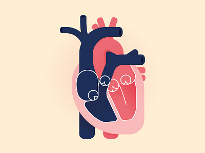 Heart Diagram anatomy heart illustration vector