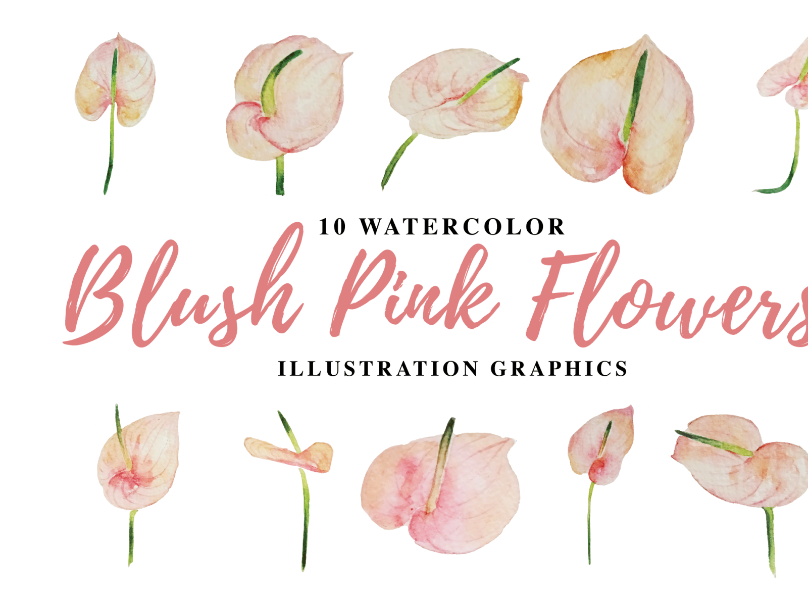 10-watercolor-blush-pink-flowers-illustration-graphics-by-ianmikraz-on