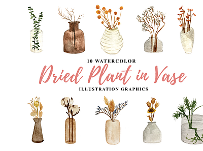10 Watercolor Dried Plant in Vase Illustration Graphics natural