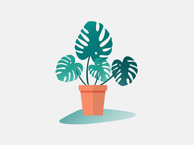 Monstera Illustration