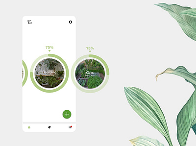 Plant care appmobile botanic design illustration infographic interface plant ui