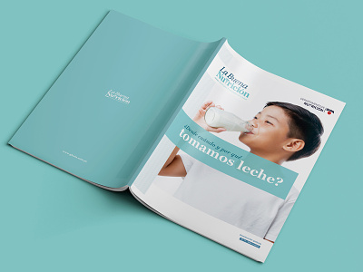 "La Buena Nutricion" Magazine Redesign design editorial editorial design graphic design magazine nutrition
