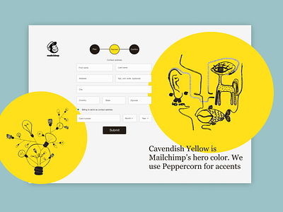 Mailchimp payment page dailyui payment form ui uidesign