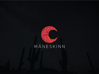 MANESKINN minimal geometric logo