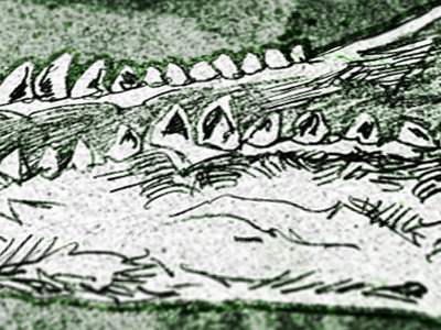 Project 52.06 - Alligators 427 - Done alligator alligator skull alligators 427 drawing grunge hubert félix thiéfaine pencil project 52 teeth textured