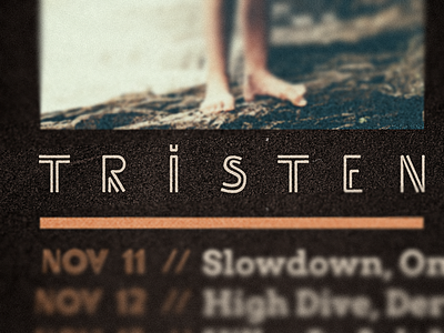 Tristen 2013 fall tour poster