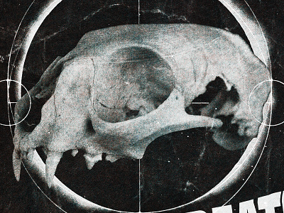 #collageretreat 100. 02/09/2021. cat skull collage collage art collage retreat diagram digital collage digital illustration distorted type eclipse eclipse corona illustration scanner type skull surreal textured typography weird