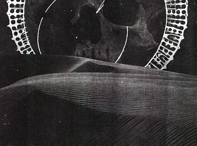 #collageretreat 115. 02/27/2021. black and white collage collage art crown diagram digital collage digital illustration distorted type dunes illustration scanner type skull surreal textured typography weird