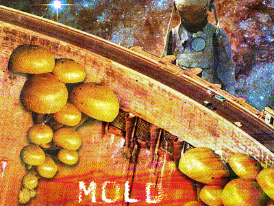 #collageretreat 123. 03/07/2021. astronaut collage collage art collage retreat dam digital collage digital illustration distorted type fungi illustration mold mushroom scanner type surreal textured typography weird