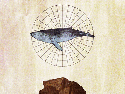 #collageretreat 152. 04/28/2021. circular grid collage collage art collage retreat diagram digital collage digital illustration grid humpback whale illustration rock surreal textured weird whale