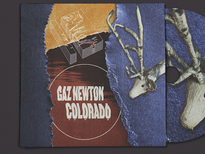 Gaz Newton - Colorado [single] album art collage digital collage digital illustration distorted type illustration music sbh scanner type surreal textured the shop typography weird
