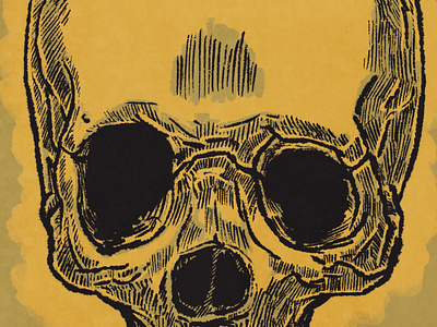 06/02/2021 - Skull study digital illustration digital inking drawing human skull illustration ipad sketch practice procreate rusty nib brushes skull textured true grit texture supply