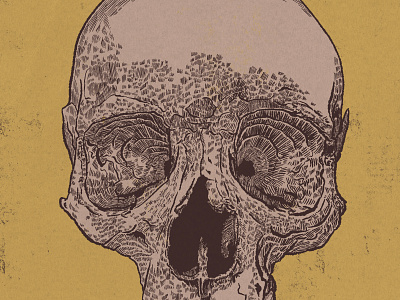 08/19/2021 - Skull study human skull ipad sketch retrosupply co rusty nib brushes skull skull study skullstore.ca true grit texture supply