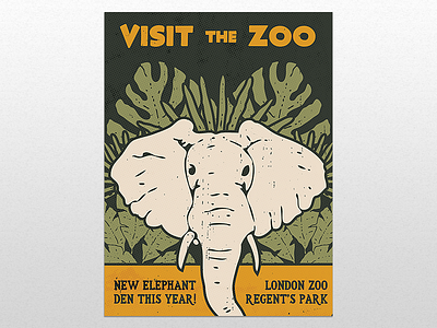 Visit the zoo!