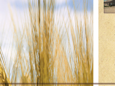 Brochure brochure print studio ace of spade wheat
