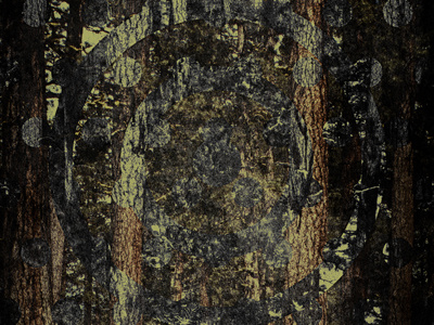 Lost and Taken poster - Color happened! absurd circles color curves forest green grunge lost and taken surreal