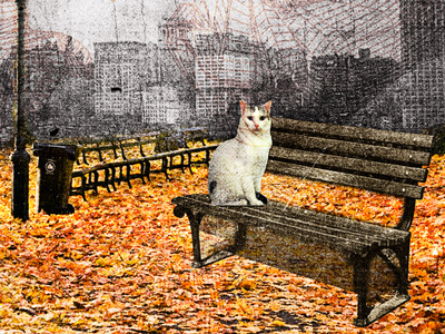 NWA 2012.05 bench cat central park grunge new world arts nyc park stop kiss studio ace of spade textured