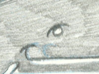Cute sketches. eye pencil sketchbook sketche whale