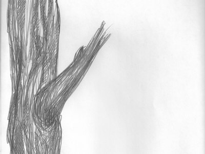 Wilson's Reservoir tree detail drawing pencil poster tree wilsons reservoir