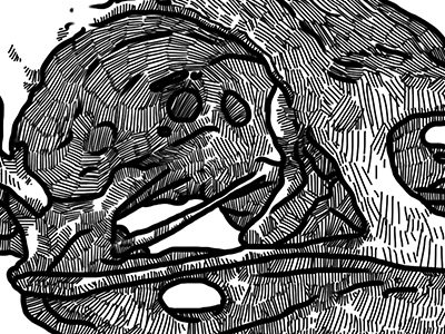 Corvus Corax skull common raven corvus corax illustration ipad sketch raven sketchbook pro skull wacom bamboo
