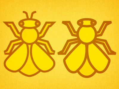 Bee III bee black bugdorm cartoon minimal yellow