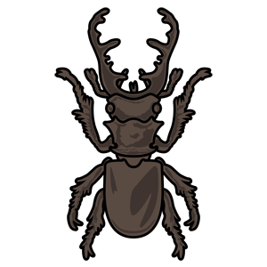 Stag beetle - I bugdorm cartoon minimalistic stag beetle
