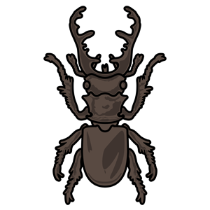 Stag beetle - II bugdorm cartoon minimalistic stag beetle
