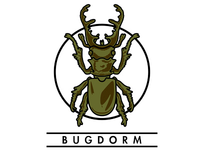 Stag beetle - IV - BugDorm bugdorm cartoon futura minimalistic stag beetle