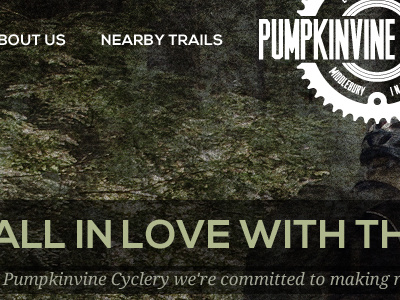 Pumpkinvine Cyclery - Website concept 2
