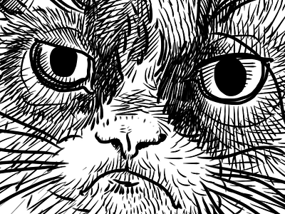 Grumpy Cat Icon by Mathieu Beaulieu on Dribbble