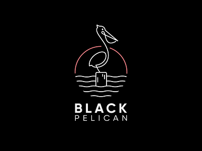 Black Pelican